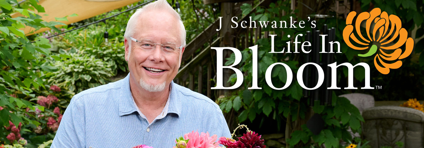 Live a flower lifestyle with J Schwanke's Life in Bloom Season 6