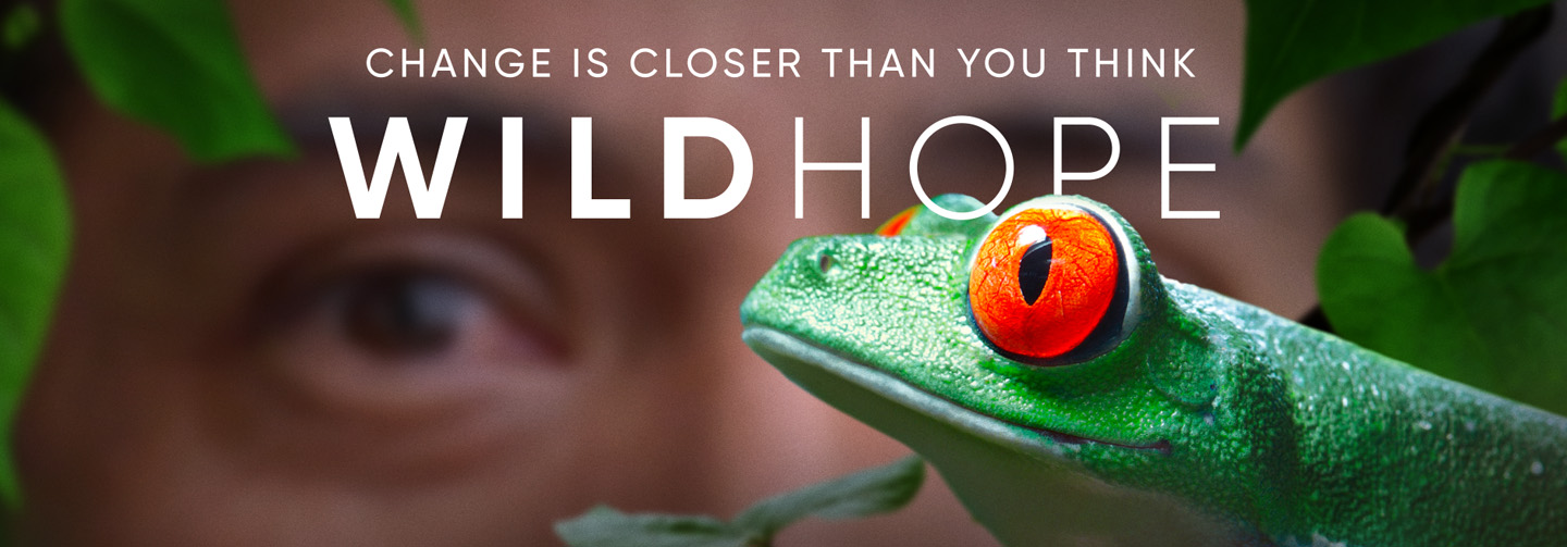 Discover changemakers working to restore and protect our planet in Wild Hope
