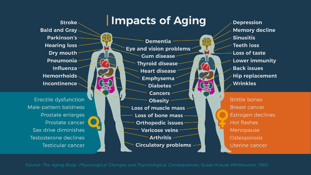 The impacts of aging
