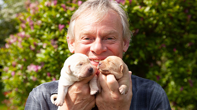 Martin Clunes explores the vital role guide dogs play