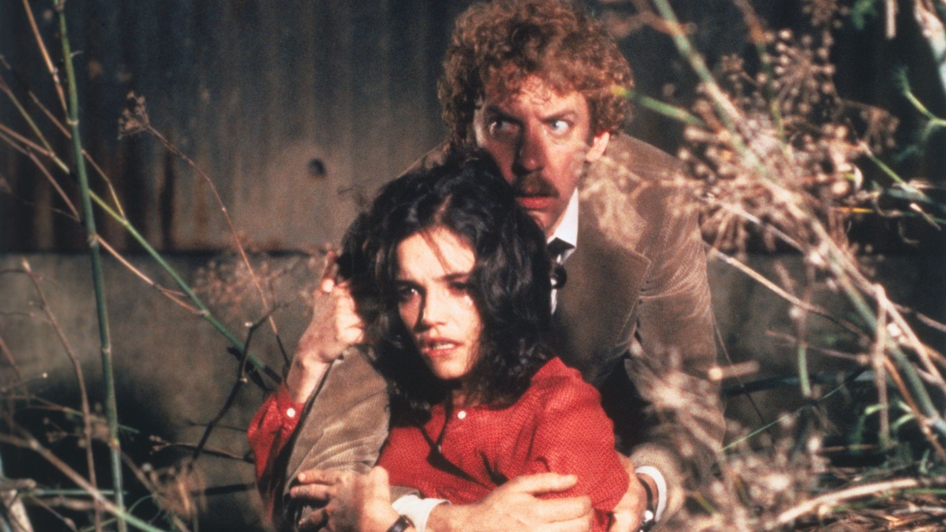 Invasion of the Body Snatchers (October release)